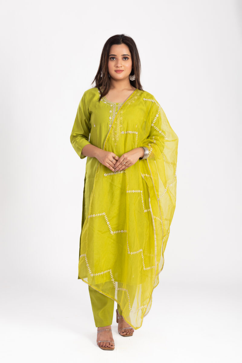 Ethnic Motifs Embroidered Kurta Set with Trousers & Dupatta-LBA-025