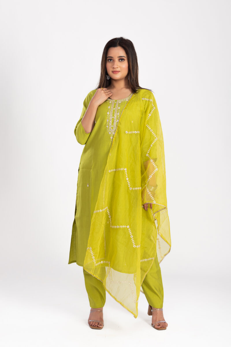 Ethnic Motifs Embroidered Kurta Set with Trousers & Dupatta-LBA-025 - Image 2