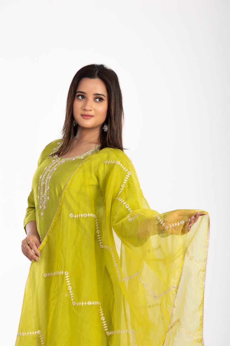 Ethnic Motifs Embroidered Kurta Set with Trousers & Dupatta-LBA-025 - Image 3