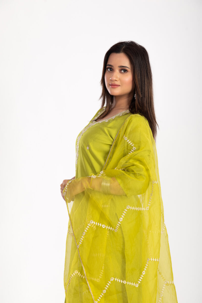 Ethnic Motifs Embroidered Kurta Set with Trousers & Dupatta-LBA-025 - Image 4
