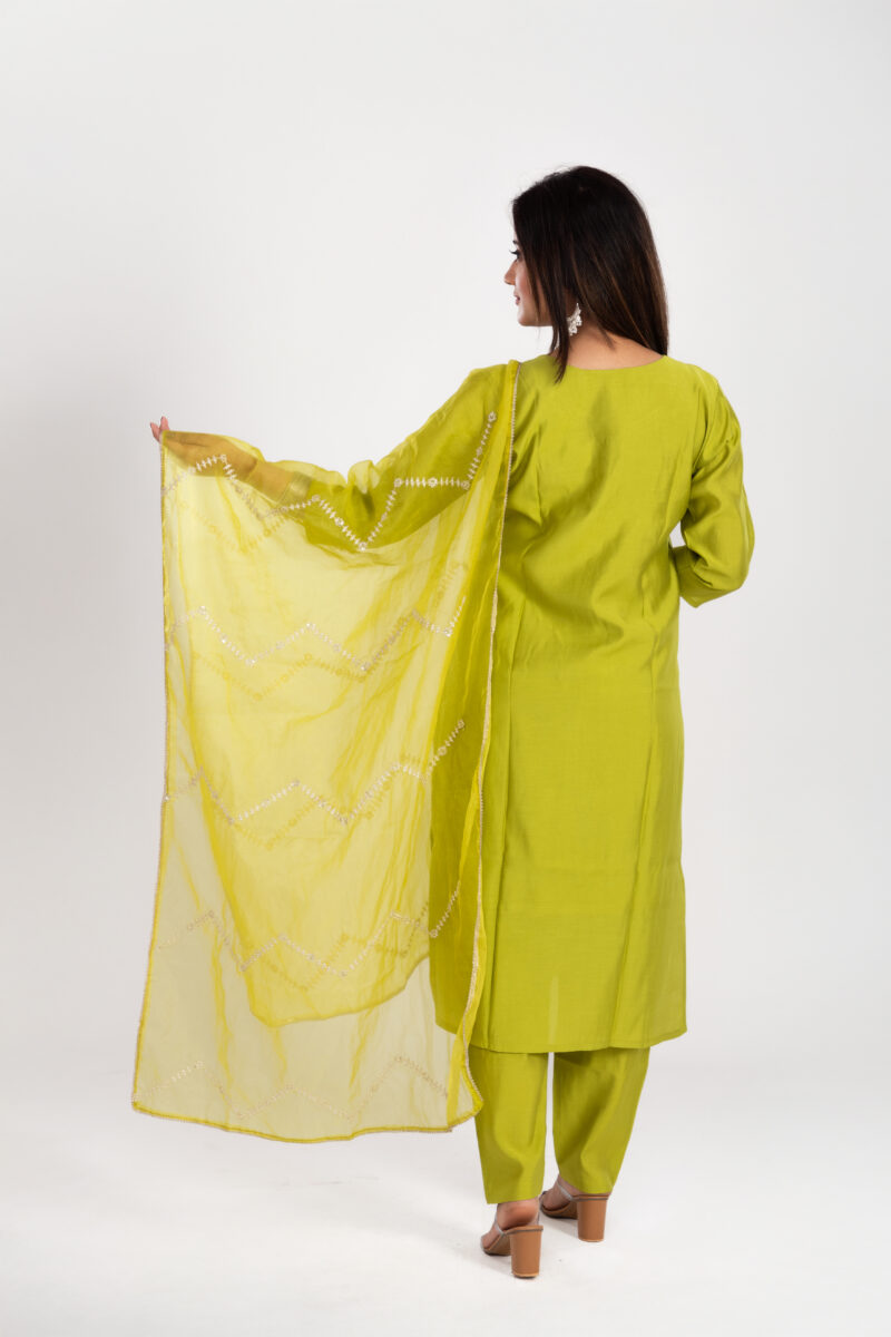 Ethnic Motifs Embroidered Kurta Set with Trousers & Dupatta-LBA-025 - Image 5