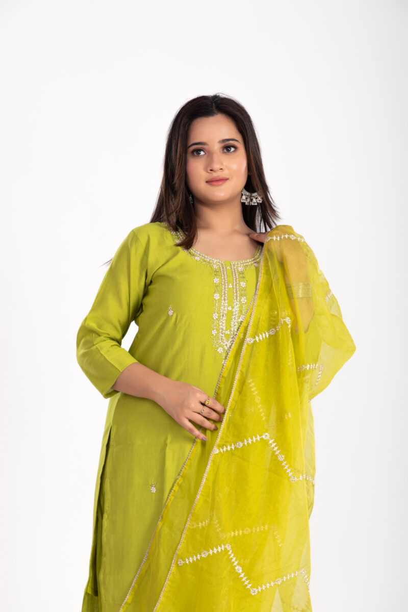 Ethnic Motifs Embroidered Kurta Set with Trousers & Dupatta-LBA-025 - Image 6
