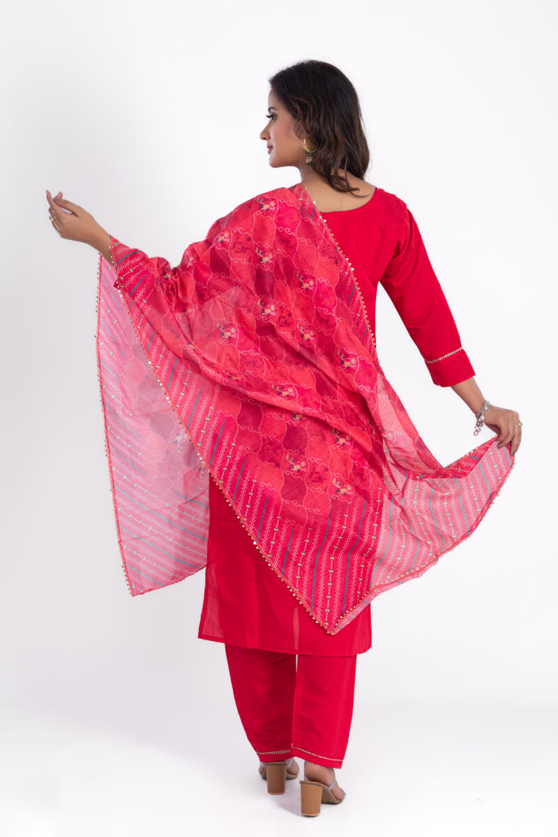 Hand Embroidered kurta set with pant and silk Duppata-LBA-018 - Image 5