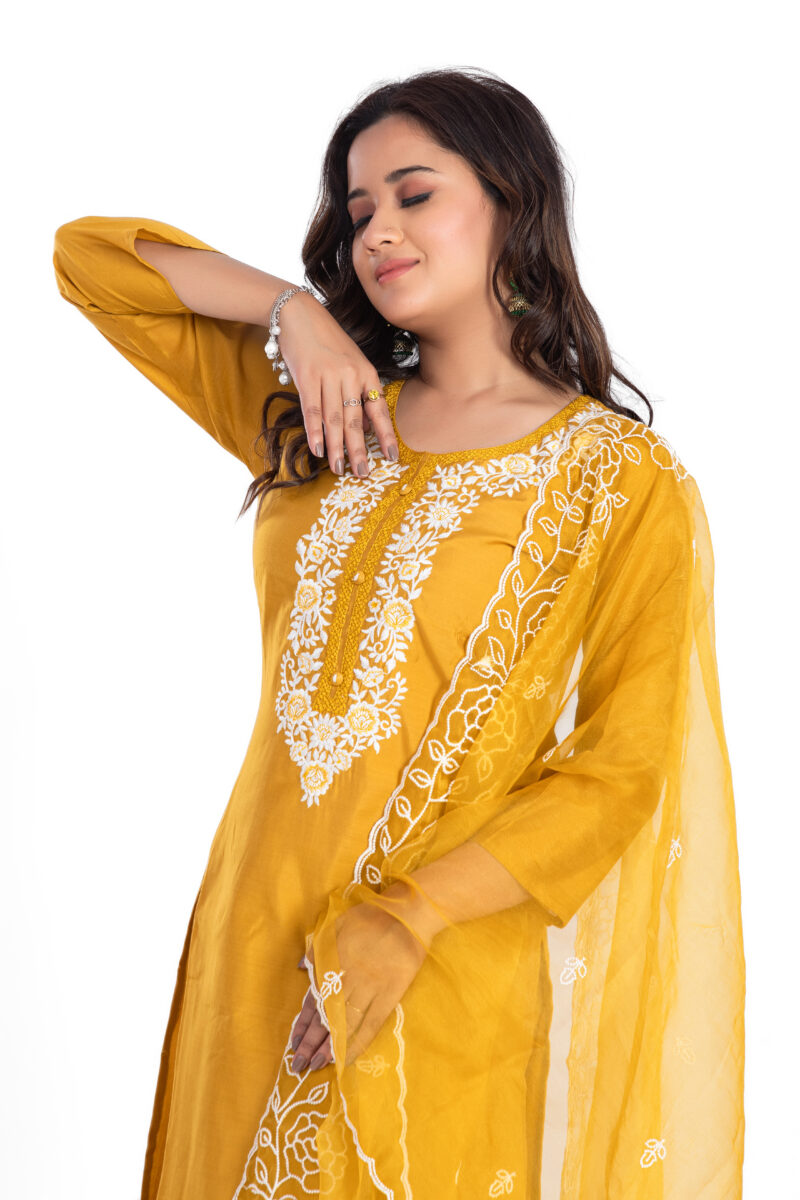 Ethnic Roman Silk Embroidered Kurta Set with Trousers & Dupatta LBA-019 - Image 3