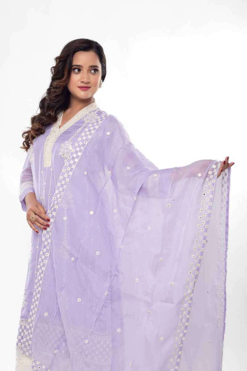 Pure Organza Embroidered Straight Kurta Set with Dupatta LBA-043 - Image 4