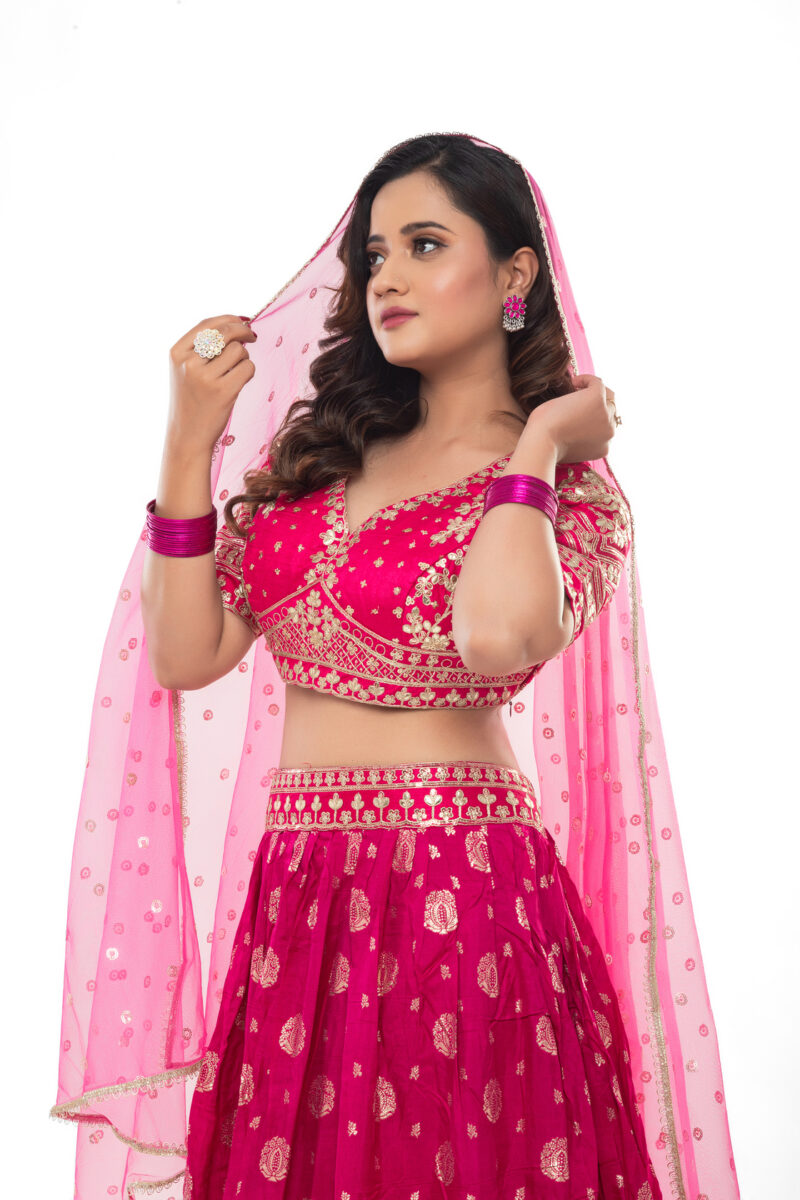 Label by Anusha Women’s Pure Viscose Jacquard Silk Embroidered Lehenga Choli with Dupatta (With Cancan) - Image 9