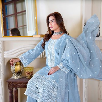 Model posing in traditional embroidered attire indoors, showcasing South Asian fashion.